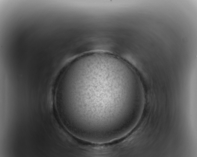 X0000088411408200705291440