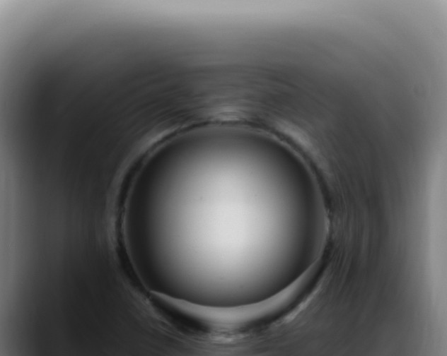 X0000088411410200705291440