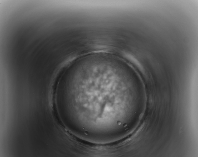 X0000088411411200705291440