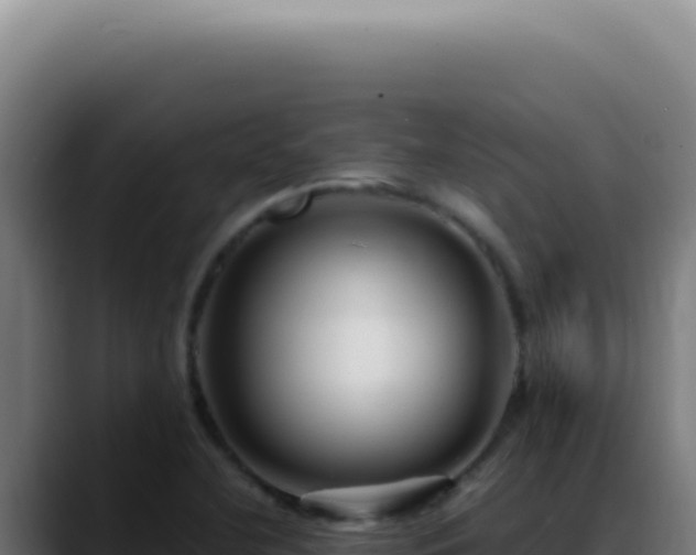 X0000088411412200705291440