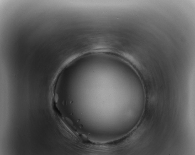 X0000088411413200705291440
