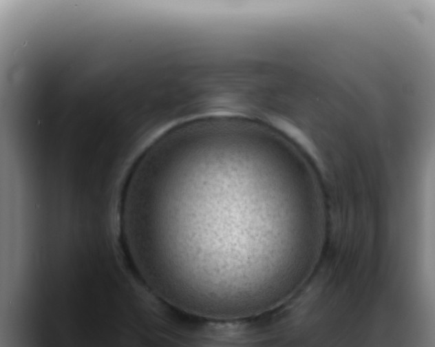 X0000088411415200705291440