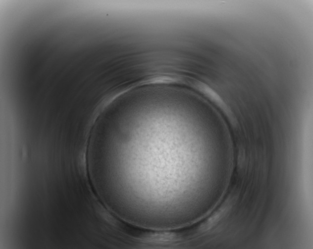 X0000088411417200705291440