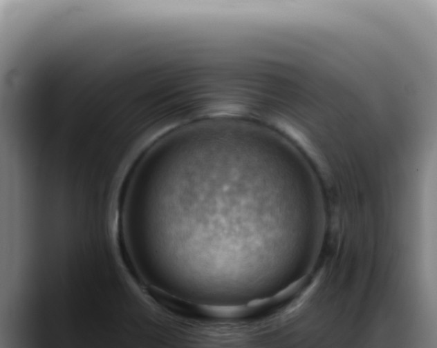 X0000088411418200705291440