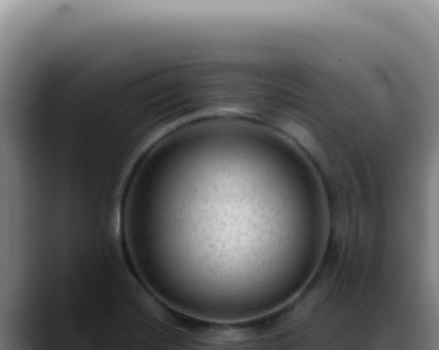 X0000088411420200705291440