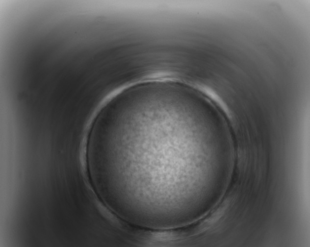 X0000088411421200705291440