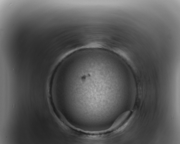 X0000088411422200705291440