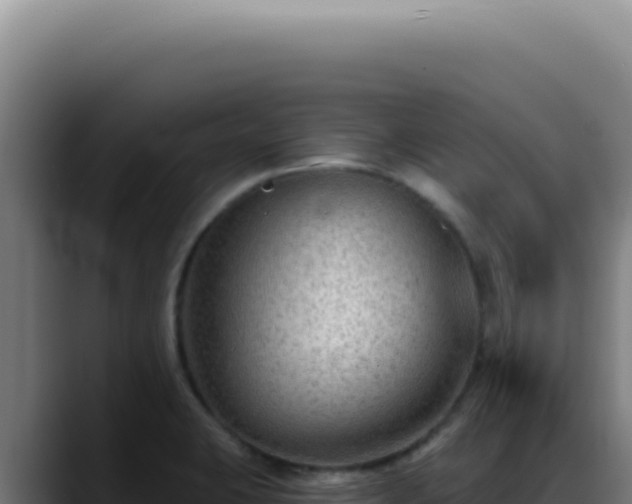 X0000088411423200705291440