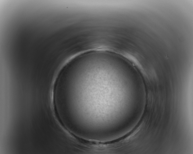 X0000088411424200705291440