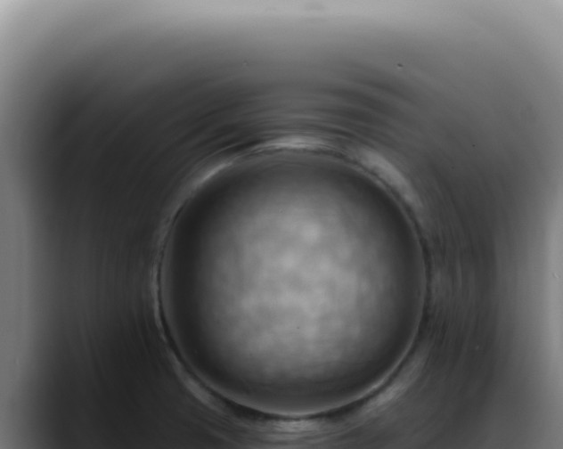 X0000088411425200705291440