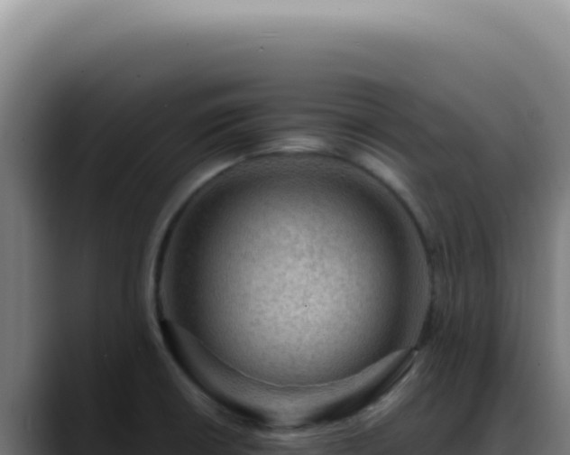 X0000088411426200705291440
