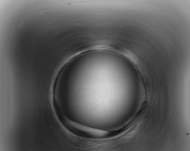 X0000088411430200705291440