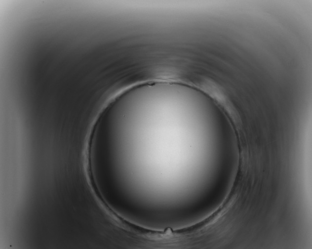 X0000088411432200705291440