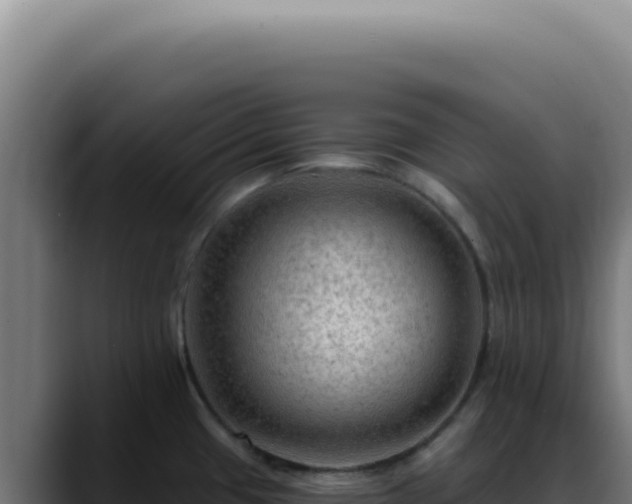 X0000088411433200705291440