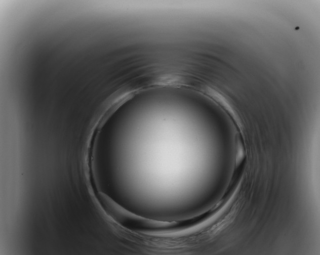 X0000088411434200705291440