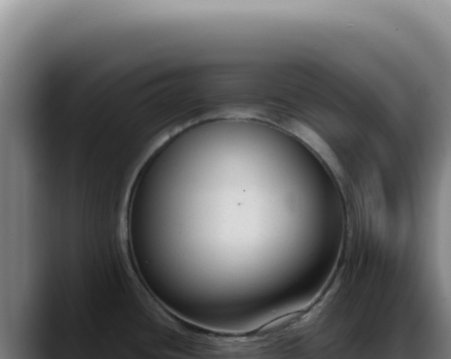 X0000088411436200705291440
