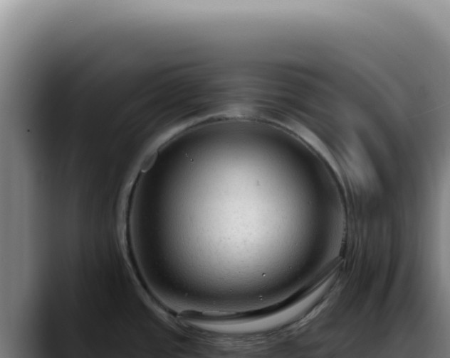 X0000088411437200705291440