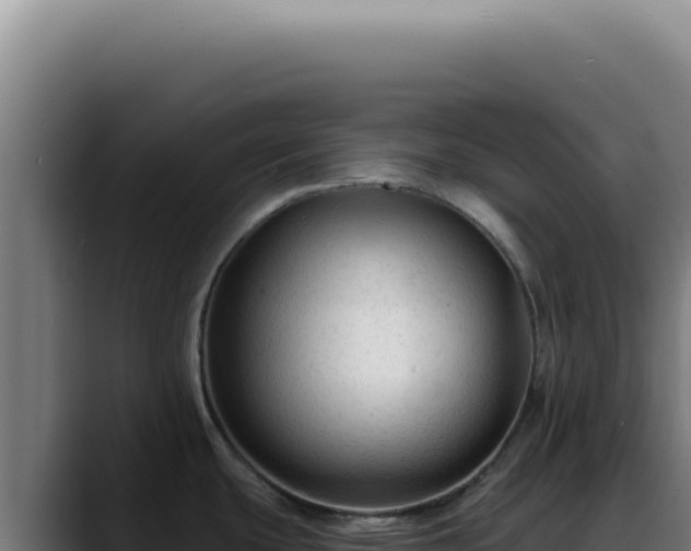 X0000088411439200705291440