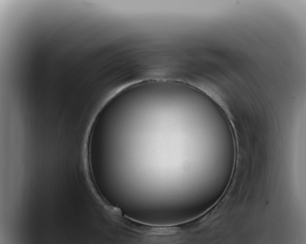 X0000088411440200705291440