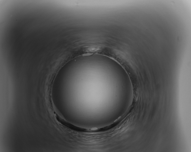 X0000088411441200705291439