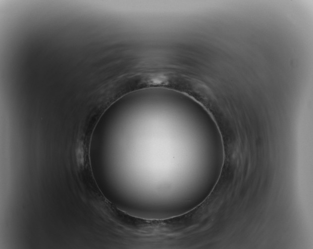 X0000088411442200705291439