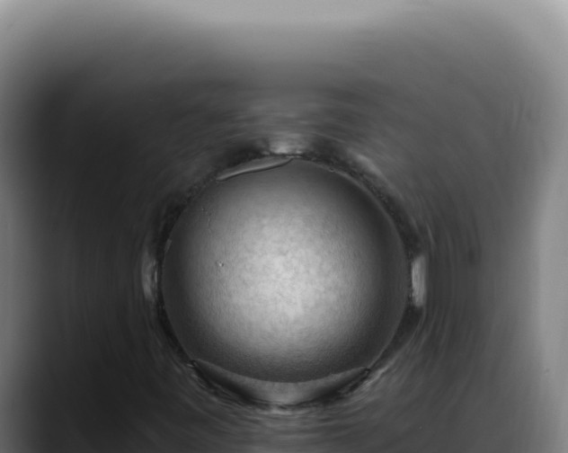 X0000088411443200705291439