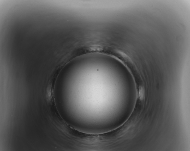 X0000088411444200705291439