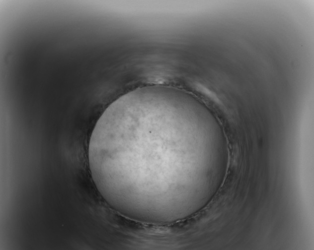X0000088411446200705291439