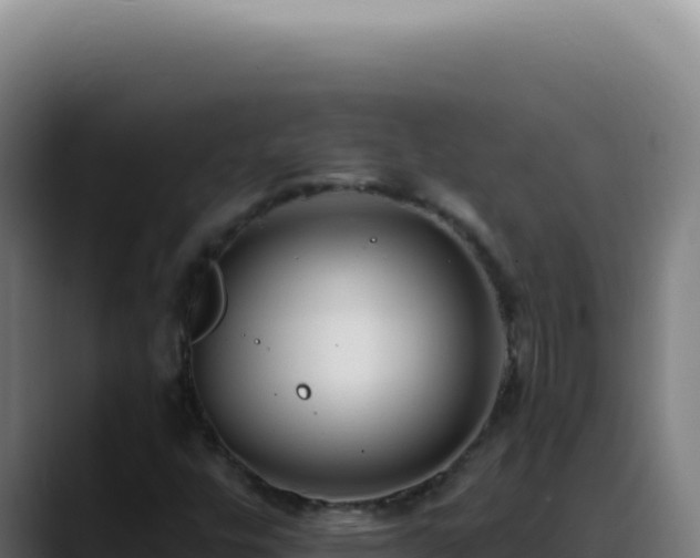 X0000088411448200705291439