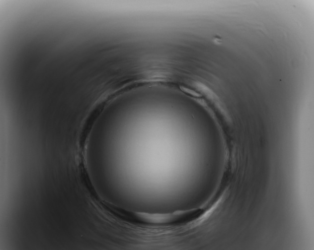X0000088411449200705291439