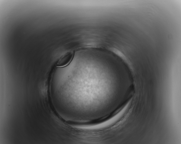 X0000088411450200705291439