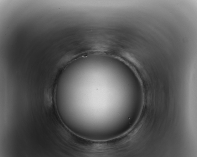 X0000088411451200705291439
