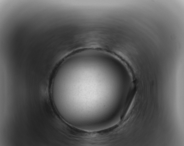 X0000088411452200705291439