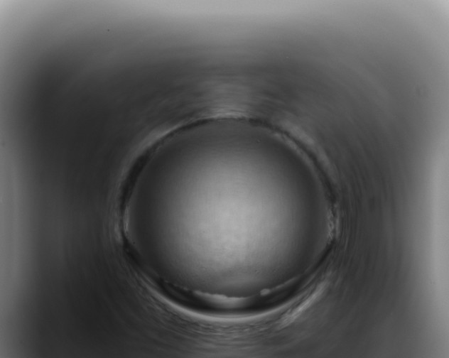 X0000088411453200705291439