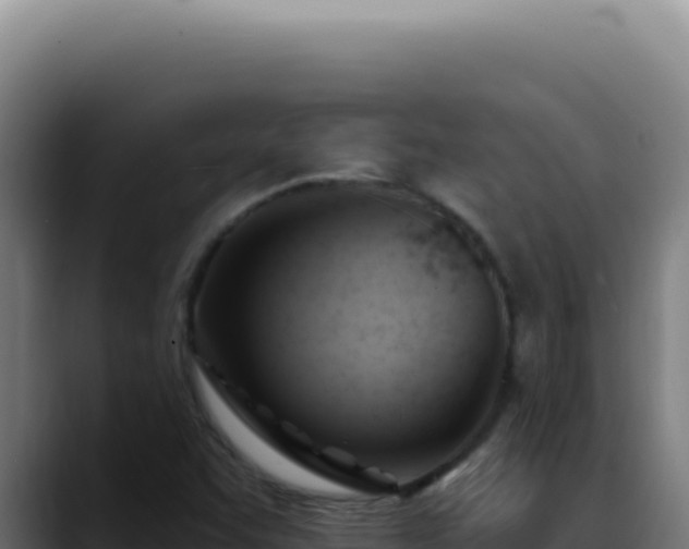 X0000088411455200705291439