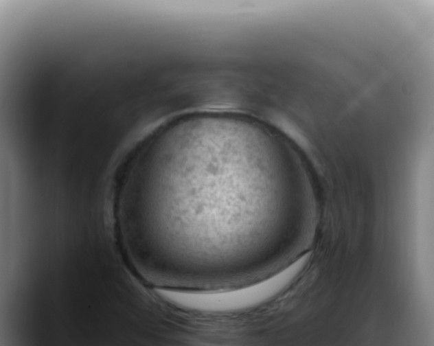 X0000088411456200705291439
