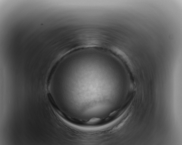 X0000088411457200705291439