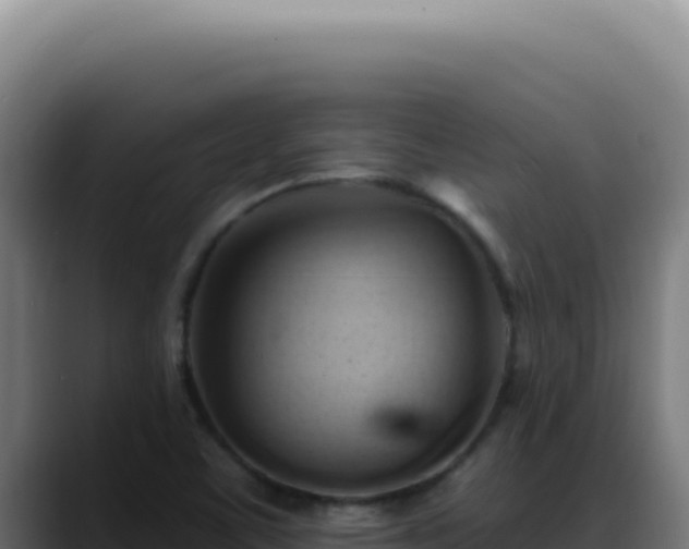 X0000088411459200705291439