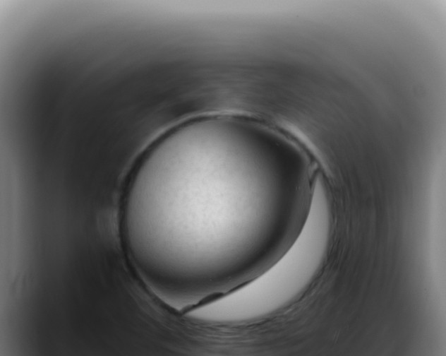 X0000088411460200705291439