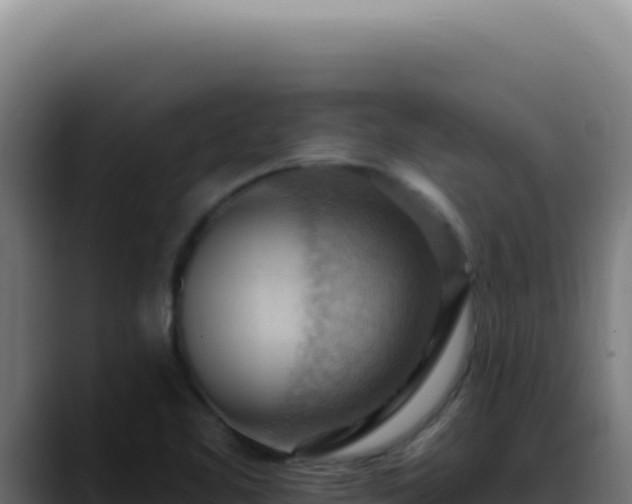 X0000088411461200705291439