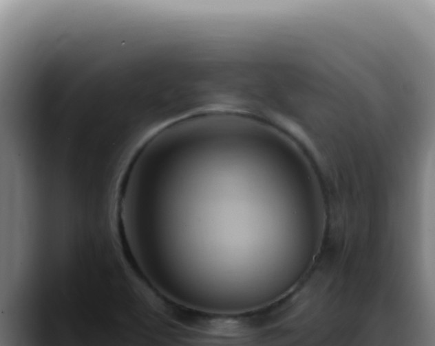 X0000088411463200705291439