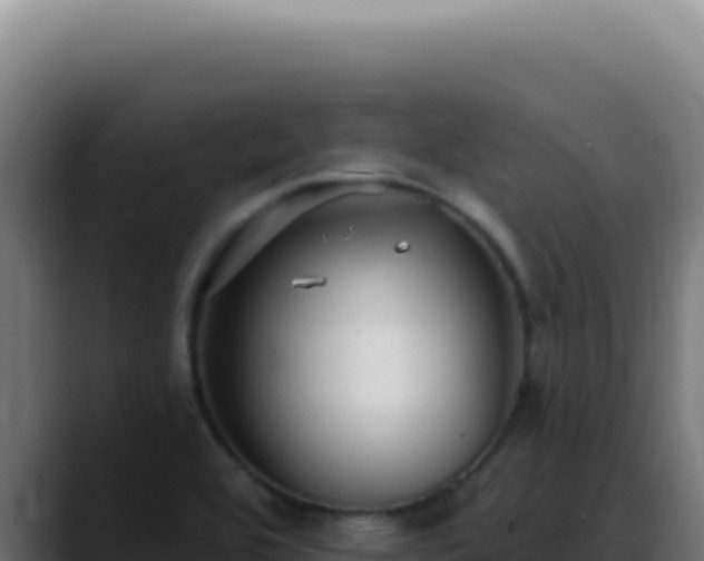 X0000088411464200705291439