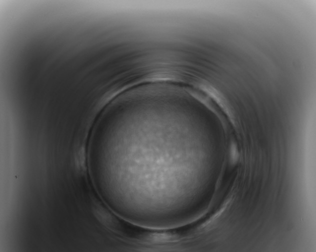 X0000088411465200705291439
