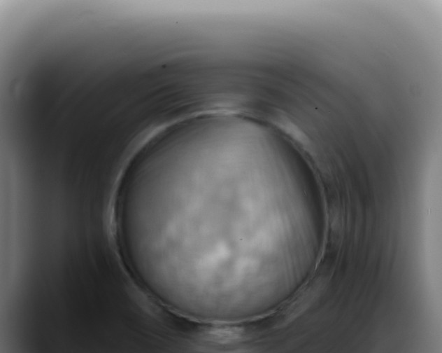 X0000088411466200705291439