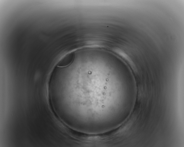 X0000088411467200705291439