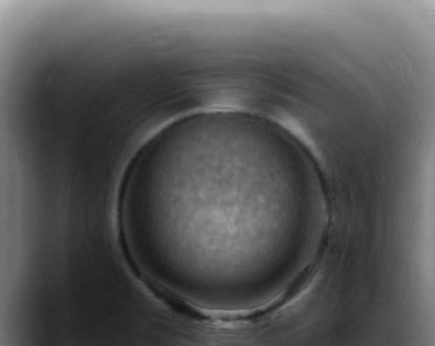 X0000088411469200705291439