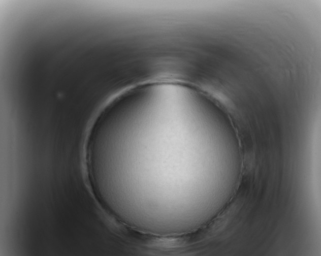 X0000088411470200705291439