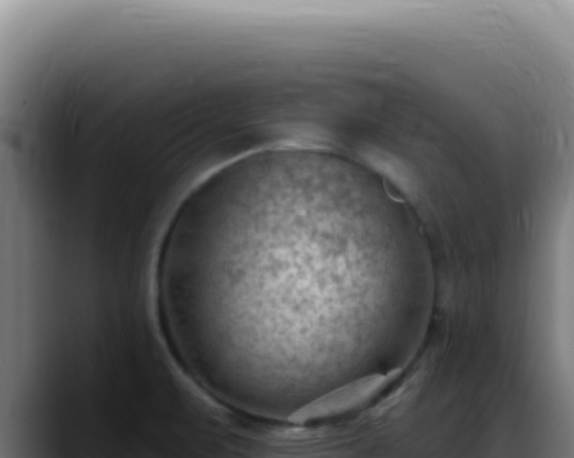 X0000088411471200705291439