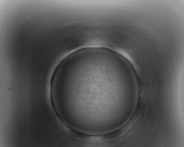 X0000088411472200705291439