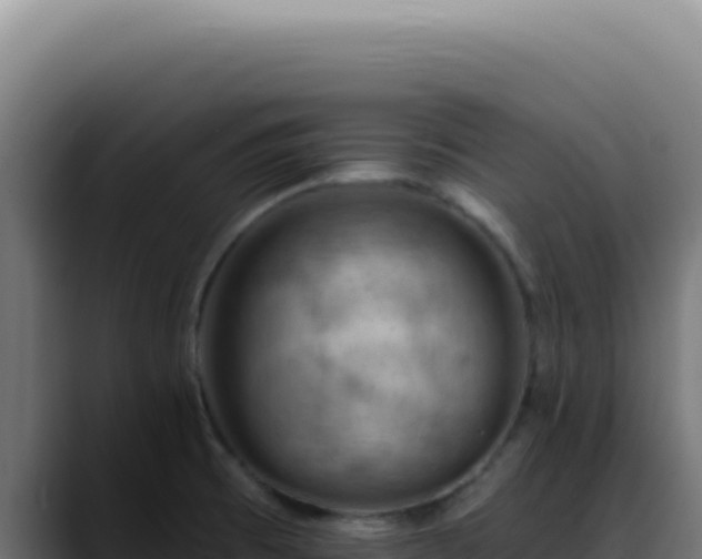 X0000088411473200705291439